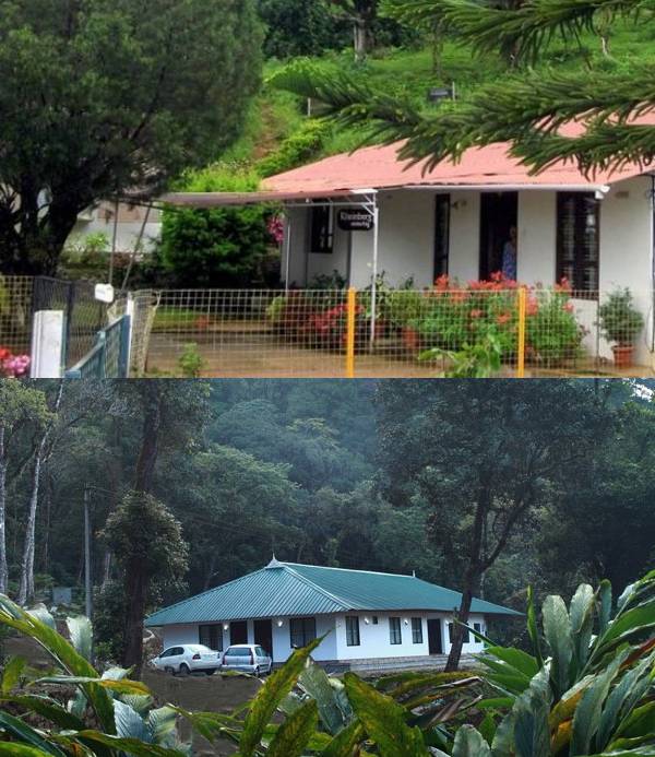 budget HomeStay in Munnar